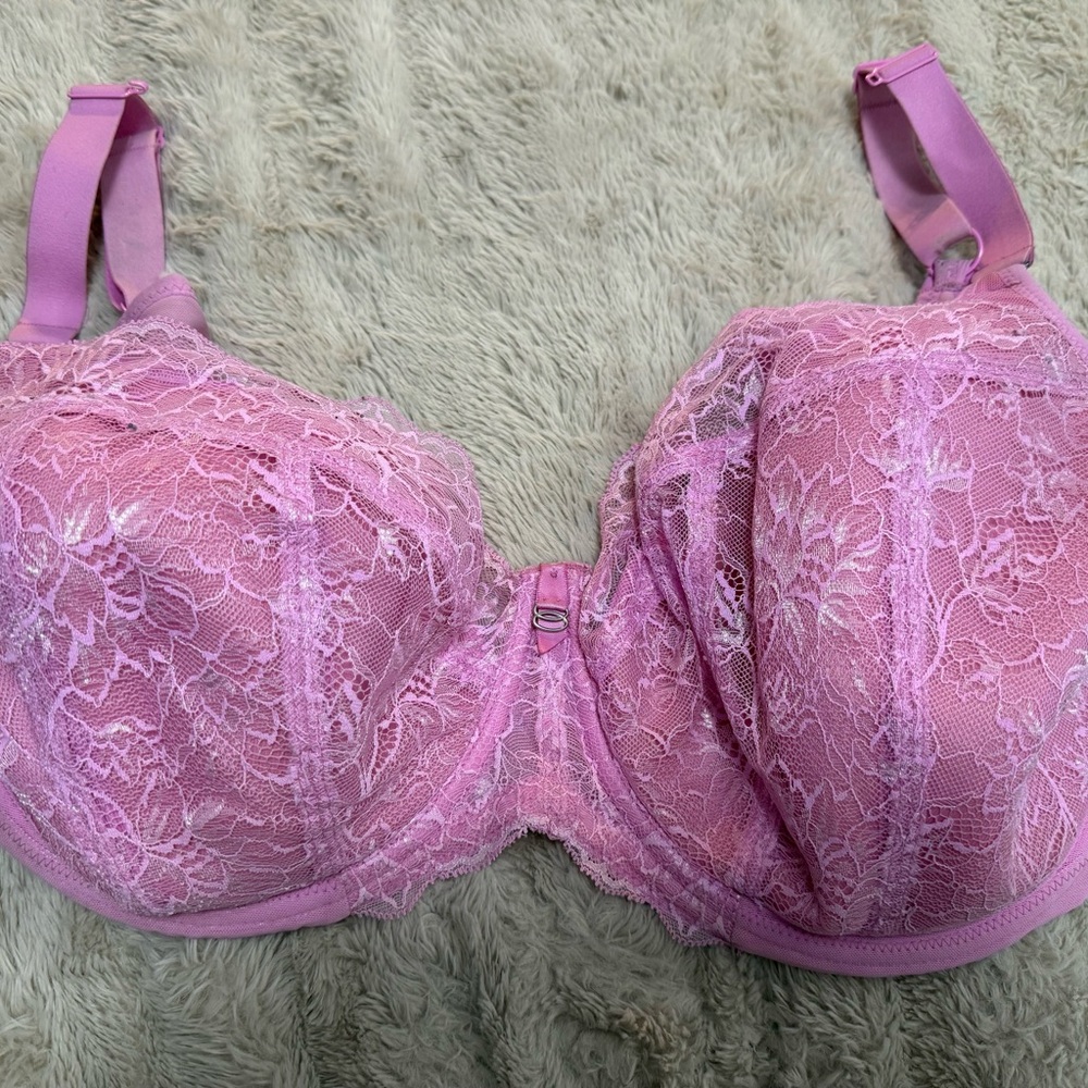Elomi Pink Lace Underwire Bra with Molded Cups